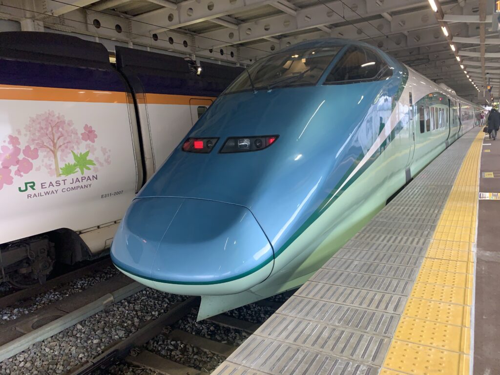 img_0726-1024x768 JR東日本　春の臨時列車!!(特急列車編)