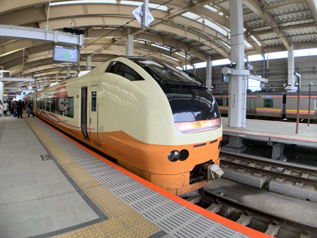 img_8099-1024x768 JR東日本新潟支社　春の臨時列車情報